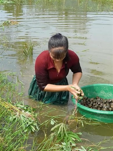 Essential Bushcraft Skills for Harvesting and Gardening
