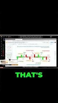 Warren Buffett on Trading: Impatient vs. Patient Money