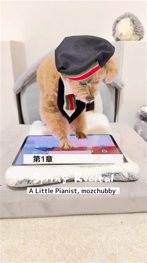 ピアノ🎹リサイタル🐕 #ピアノを弾く犬 #作曲犬 #PianoDog #dogchallenges