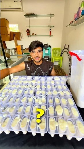 10L milk = Ice Creams?