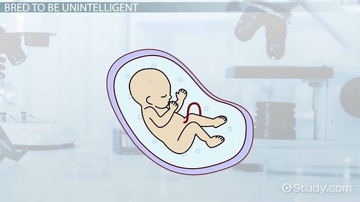 Epsilon in Brave New World by Aldous Huxley | Role & Analysis