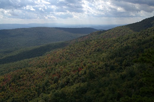 Best Hikes in George Washington and Jefferson National Forests (VA) - Trailhead Traveler
