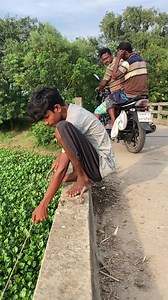 23M views · 110K reactions | Best river fishing catching country fish by net | Daily Fishing Life | Facebook