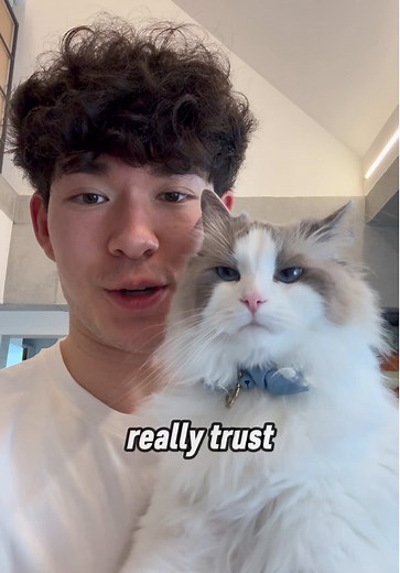 Understanding Mofu's Trust: A Ragdoll Cat Journey