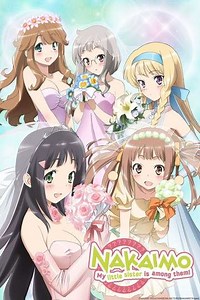 Nakaimo: My Little Sister Is Among Them! (2012) - TV Show