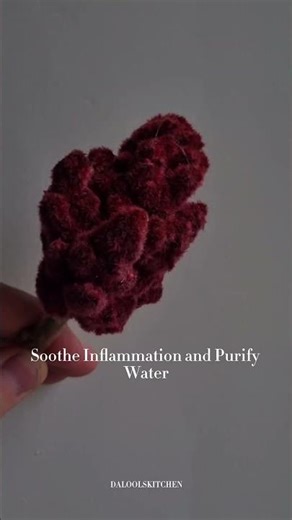 Sumac: The Ancient “Lemon” Spice — From Remedy to Flavor #shorts