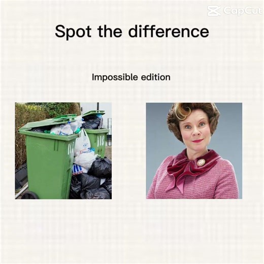 Spot the difference ( impossible) # umbridge # Harry Potter # wizarding world