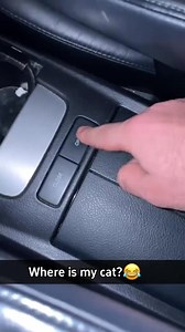 1.2M views · 49K reactions | Silly cat where are you 藍 #cat #catsoftiktok #catlover #fyp #pets #catvideos #kitten | Cat Funny Videos 018 | Facebook