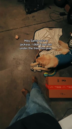 Funny Santa Joke for the Holidays