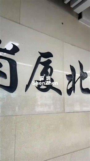 A Comprehensive Guide to the Shenzhen Metro and More