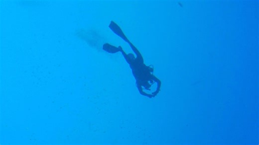 Woman dies in diving incident off Key Largo: Sheriff