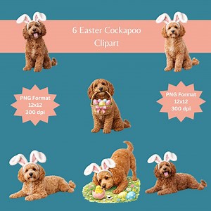 Lot de cliparts chien cockapoo : images PNG (12 x 12, 300 dpi) - Etsy France
