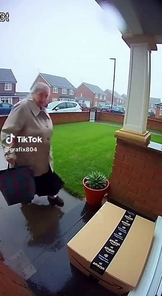 Porch Pirate Caught in Hilarious Attempt