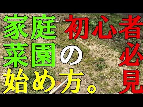 How beginners should start growing vegetables?