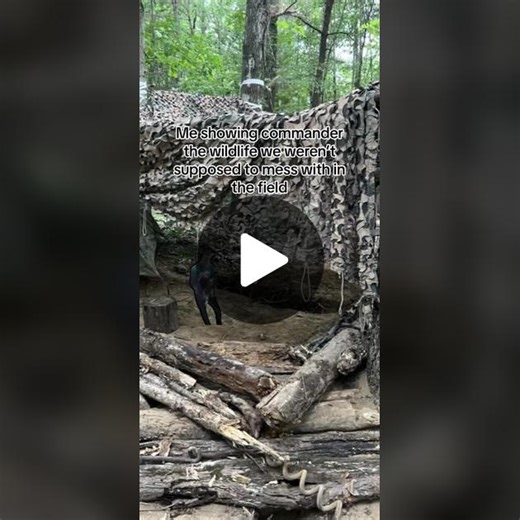 Check it out sir #army #military #miltok #wildlife #fieldproblem #fyp