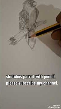 parrot sketches with pencil, follow my channel