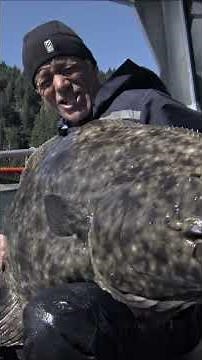 Is This HALIBUT Lowkey Alaska's Most Dangerous Cold-Water Killer?! 🥶 #rivermonsters #fishing
