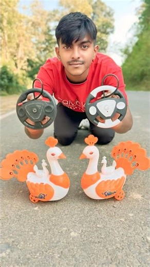 Remote control 2 Ta duck unboxing and review