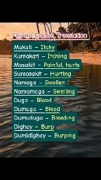 20K views · 195 reactions | Let's learn some Basic Filipino-English phrases/ Useful for everyday conversation  Enjoy learning  | Janes Lessons | Facebook