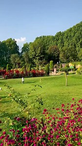 247K views · 5.1K reactions | Beautiful Garden view of Kashmir 殺❤️ | Beautiful Pahadi Videos | Facebook