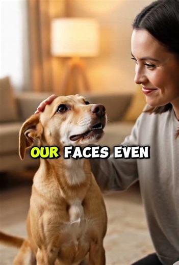 Why Dogs Are Man’s Best Friend – The Science of Dog Loyalty(Animal folktales).