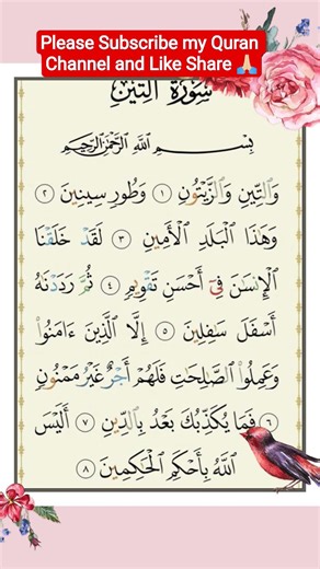 Surah At Teen#holy#quran#beautiful# ..