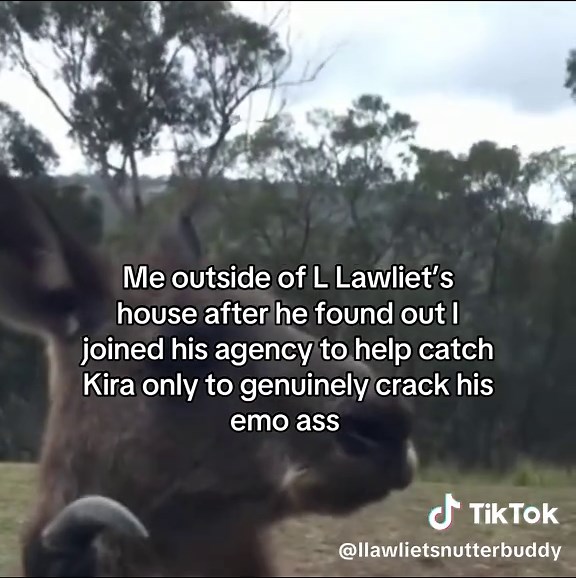 Outside L Lawliet's House: A Kira Investigation