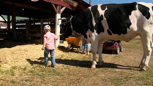 One day left to enjoy 2025 Oxford County Fair | Here's what it has to offer