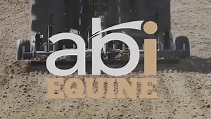 In today’s Monday Mini Clinics with Dana Hokana Performance Horses we look at extending the jog or trot. Your horse is never going to lift, stretch out and extend to his true potential if he is heavy in your hand and not cadenced in the medium trot. In this video, Dana shows you how to get your horse up, collected and round in the slower or medium trot so you can then ask him for the extended trot. Most classes today may call for an extended trot, so learn this technique and be ready!! | Pleasur