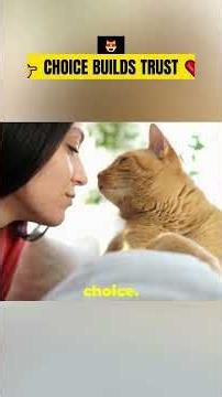 👉 Your Cat Has Been Waiting YEARS For You To Know This 😿