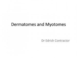 Dermatomes and Myotomes - SlideServe