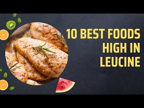 10 Best Foods High In Leucine