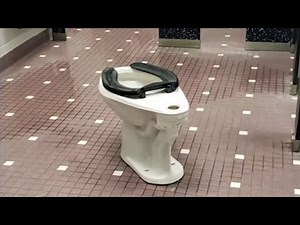 Students vandalizing schools in social media challenge