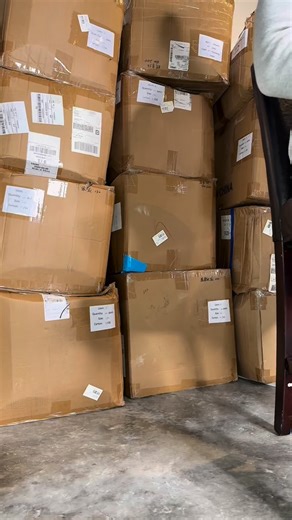 The Flocking Story 🦩 Join the Flock at Flockssocks.co #Flockwithus #Flocknation | Flocks Socks