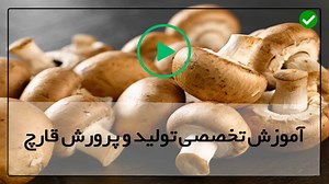 آموزش پرورش قارچ-آموزش پرورش قارچ در منزل-( واحد تولید قارچ )