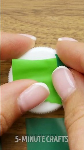 Amazing DIY Projects You Can Make with Plastic Bottles! ♻️