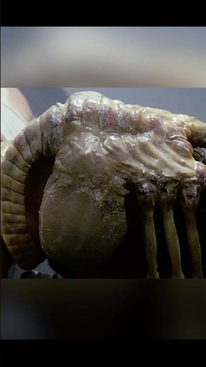 Facehugger removal goes wrong - Alien (1979) HD