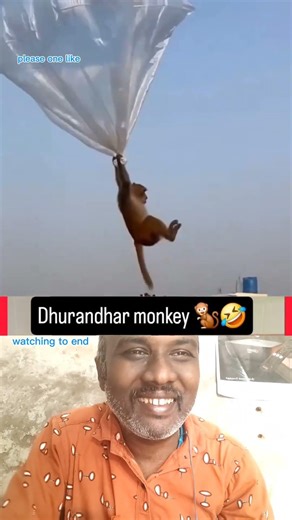 wow enna idea #Monkey #FunnyAnimals #ViralVideo #Trending #AnimalVideo #Shocking #Comedy #WaitForEnd