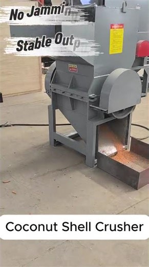 Coconut Shells Crushed into Fine Particles | Industrial Coconut Shell Crusher for Biomass Recycling