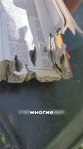 🐛 WHY WORMS START EATING BOOKS 📚 #science #interesting #facts