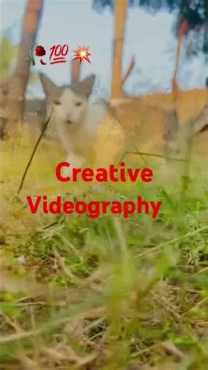 #videography#🔥🔥💯#creative