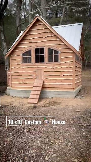 Luxury Duck Coop 🦆| Carolina Coops
