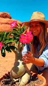 6 Types of Bonsai Tree Seeds for Planting - Pick from 3 Kits or Get Them All (Kit One - 6 Types)