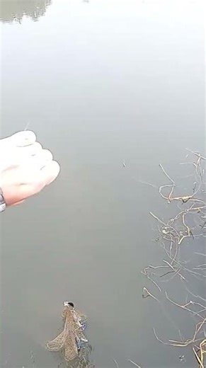 Caught a Cast Net While Bass Fishing