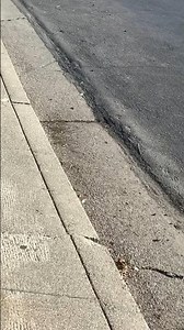 Deleted short. ( bus 7 pass by)