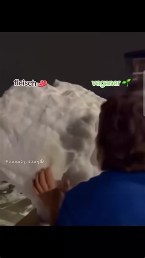 Vegan vs. Meat Diet: Understanding Dietary Choices