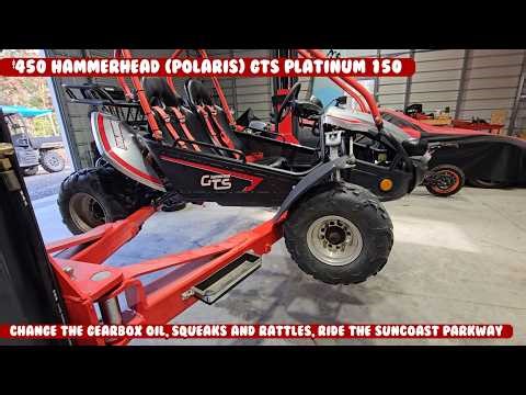 Change the gearbox oil, squeaks and rattles, ride the Suncoast Parkway $460 Hammerhead GTS
