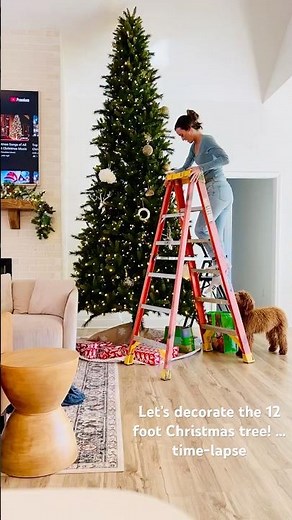 🎄Decorating the 12 foot Christmas Tree Time Lapse... #pov #christmas #ditl #family #christmastree