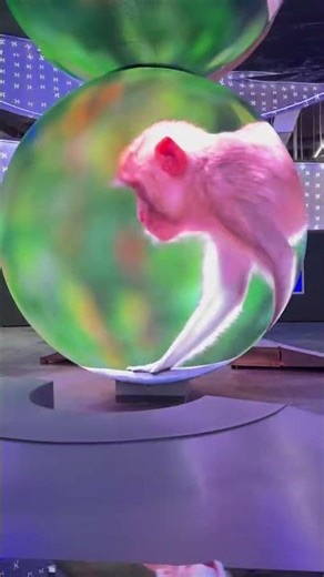 Ground stacking led sphere display ball, welcome to inquire, we have stock #leddisplay