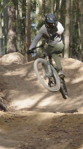 The Mondraker Zendit!